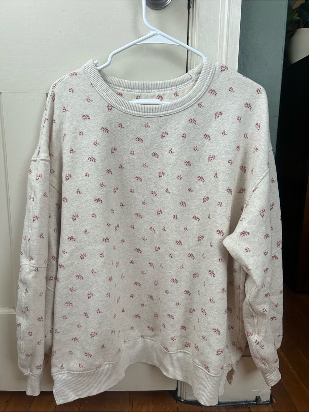 Aerie Sweatshirt